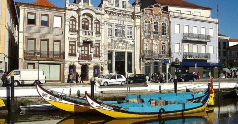 From Porto Private Tour Half Day in Aveiro and Costa Nova - What’s Included and What’s Not