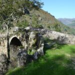 From Porto: Small Group Day Tour of Geres Park with Picnic - The Experience in Action: What Travelers Say
