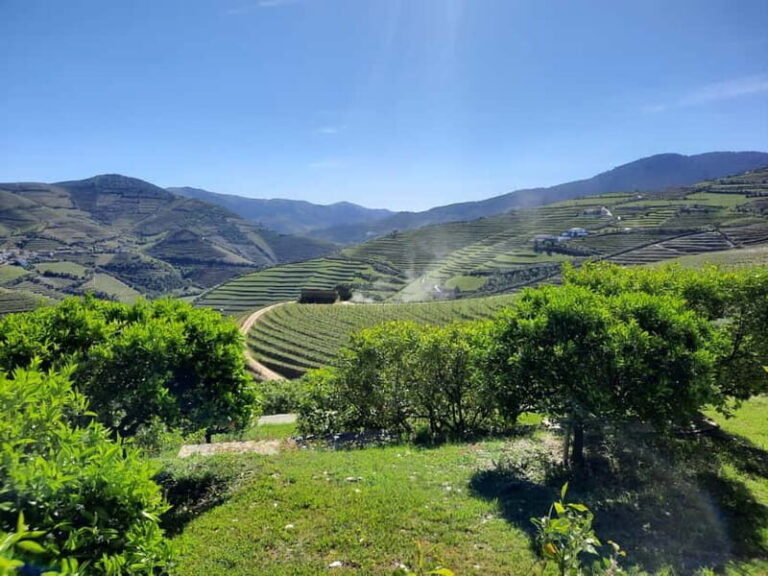 From Porto: small-group guided tour of the Douro Valley and Gerês - Detailed Breakdown of the Experience