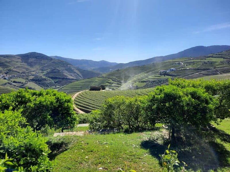 From Porto: small-group guided tour of the Douro Valley and Gerês - Detailed Breakdown of the Experience