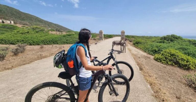 From Porto Torres: E-Bike Rental - What to Expect on Your Day
