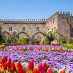 From Porto: Viana do Castelo, Braga and Guimarães Day Tour - Transport and Logistics