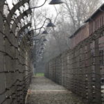 From Prague: Auschwitz-Birkenau Memorial Private Tour - Final Thoughts