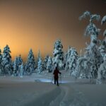 From Prague: Guided Snowshoe Tour with Mountain Views - What’s included and what to expect