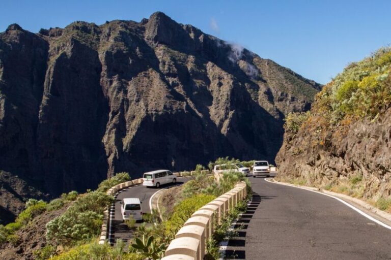 From Puerto de la Cruz: Teide and Masca VIP Tour - What Sets This Tour Apart?