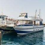 From Puerto Rico de Gran Canaria: Dolphin Watching Cruise - The Marine Life You Might See