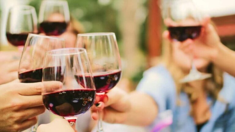 From Régua: Surprise Wine Adventure 2 Estates & Local Lunch - Who Will Love This Tour?