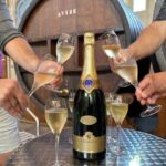 From Reims: Champagne Day Trip to Two Local Domains & Lunch - The Experience from the Traveler’s Perspective