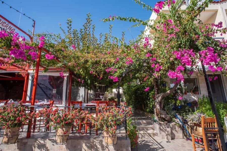 From Rethymno: Argyroupoli, Lake Kournas, Georgioupoli Tour - What’s Included and What’s Not