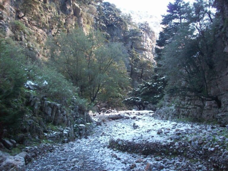 From Rethymno: Imbros Gorge & Libyan Guided Sea Tour - Practical Details and What to Bring