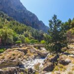 From Rethymno: Samaria gorge with Professional Hiking Guide - The Cost Breakdown and Value