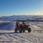 From Reykjavik: Buggy & Whale Watching Adventure - Practical Considerations