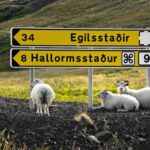 From Reykjavík: Iceland Express Circle - 6-Day Self-Drive - What the Reviews Say