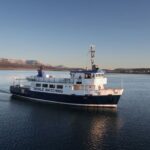 From Reykjavik: New Years Fireworks by Boat - The Experience for Different Travelers