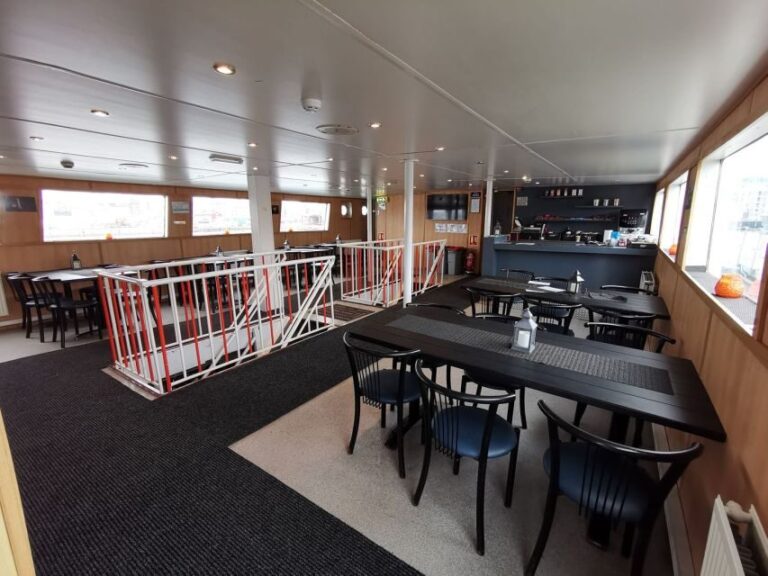 From Reykjavik: Northern Lights Sightseeing Cruise - The Experience in Detail