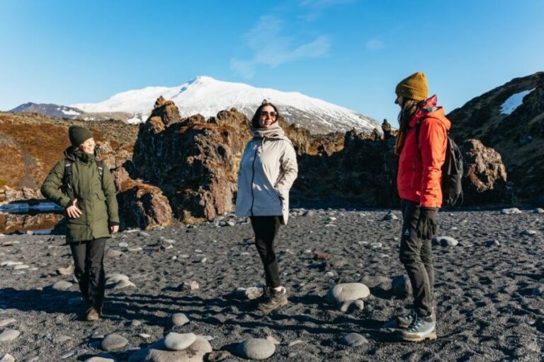 From Reykjavik: Snæfellsnes Peninsula Full-Day Tour - Whats Included and Whats Not