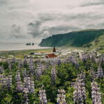 From Reykjavík: South Coast Highlights Day Tour - What We Think: Is This Tour Worth It?