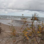 From Riga: Budget Day Trip to Kolka in Zen style! - Discovering Kolka’s Calm Atmosphere