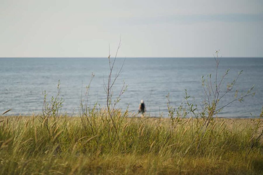 From Riga: Explore Latvian Nature With a Local Photographer - Who Is This Tour Best For?