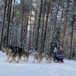 From Riga: Husky Sledding or Wheel Kart Tour - The Core Experience: Sledding, Karting, and More