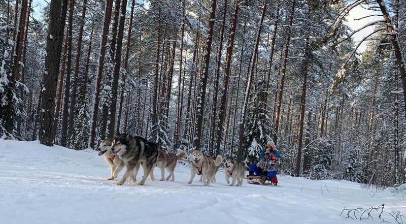 From Riga: Husky Sledding or Wheel Kart Tour - The Core Experience: Sledding, Karting, and More