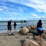 From Riga: Jurmala & Kemeri Tour + Picnic - What to Expect and What to Bring