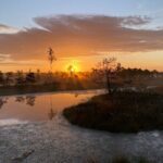 From Riga: Kemeri Bog Boardwalk and Jurmala Seaside - Kemeri Historical Park
