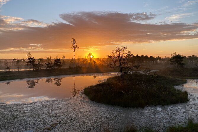 From Riga: Kemeri Bog Boardwalk and Jurmala Seaside - Kemeri Historical Park