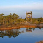 From Riga: Kemeri National Park and Kuldiga Tour - Exploring Kemeri National Park: The Bog Boardwalk