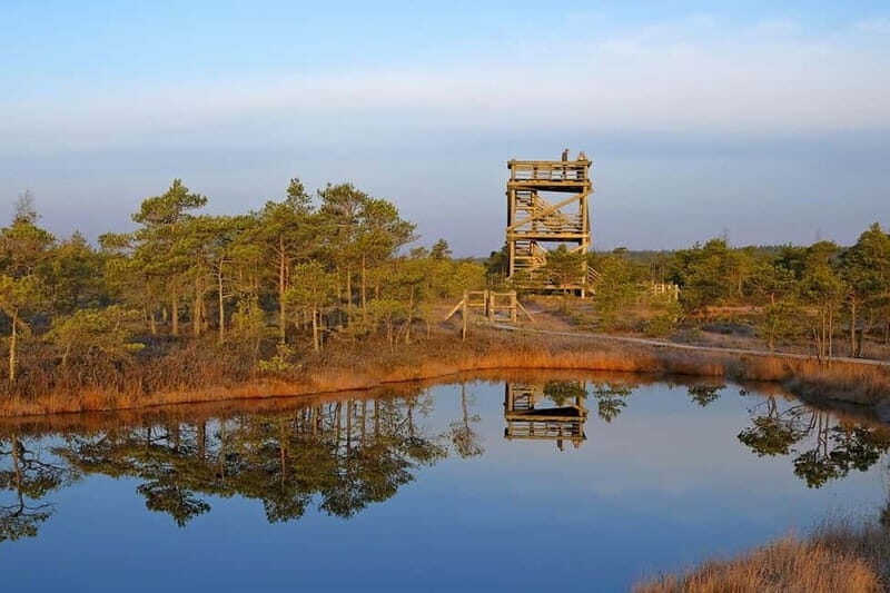 From Riga: Kemeri National Park and Kuldiga Tour - Exploring Kemeri National Park: The Bog Boardwalk