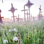 From Riga: The Hill of Crosses Private Guided Tour - Analyzing the Value