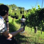 From Rome: Cantina Le Macchie Winery Tour and Tasting - What You Can Expect on the Tour