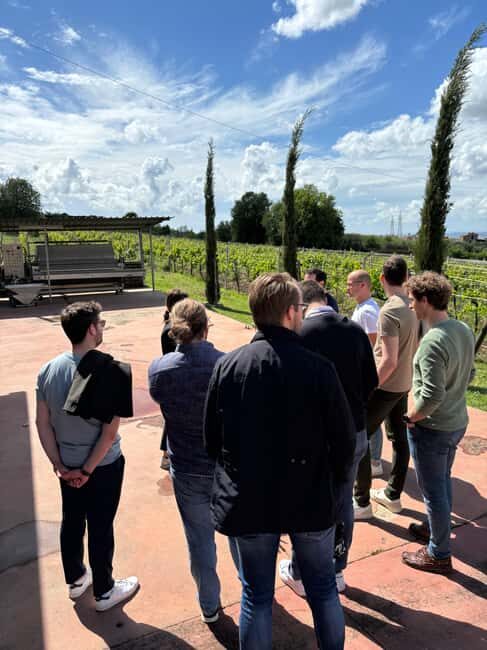 From Rome: tasting tour in cellar immersed between vineyards - The Winemaking Process and Bottling