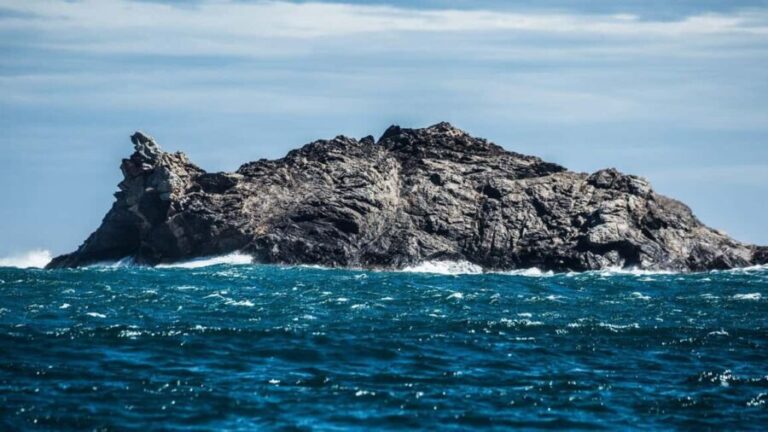 From Roses: Adventure in Cap de Creus: Discover and Swim in a Wild Cove - The Reality of the Experience: What Travelers Say