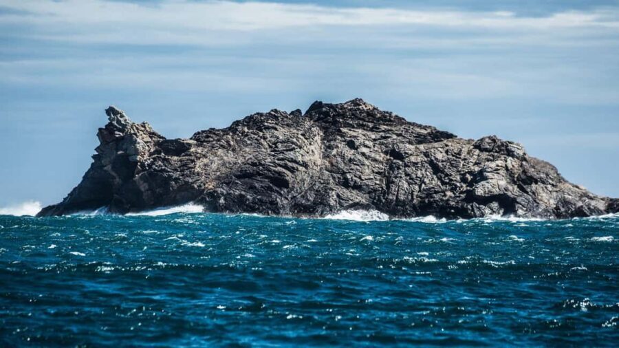 From Roses: Adventure in Cap de Creus: Discover and Swim in a Wild Cove - The Reality of the Experience: What Travelers Say