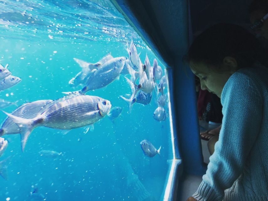 From Roses: Cap Norfeu Boat Cruise & Swimming - The Swimming Break: A Highlight