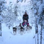 From Rovaniemi: 5km passenger Husky Sleigh Ride - Practicalities and Tips