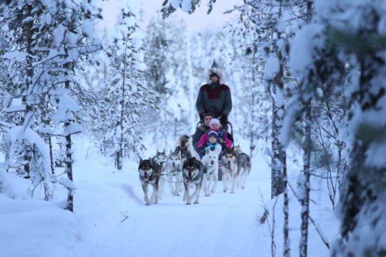 From Rovaniemi: 5km passenger Husky Sleigh Ride - Practicalities and Tips