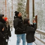 From Rovaniemi: Family Friendly Visit to Ranua Wildlife Park - Practical Details and Value