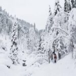 From Rovaniemi: Frozen Waterfalls of Korouoma Full-Day Tour - What to Expect During the Day