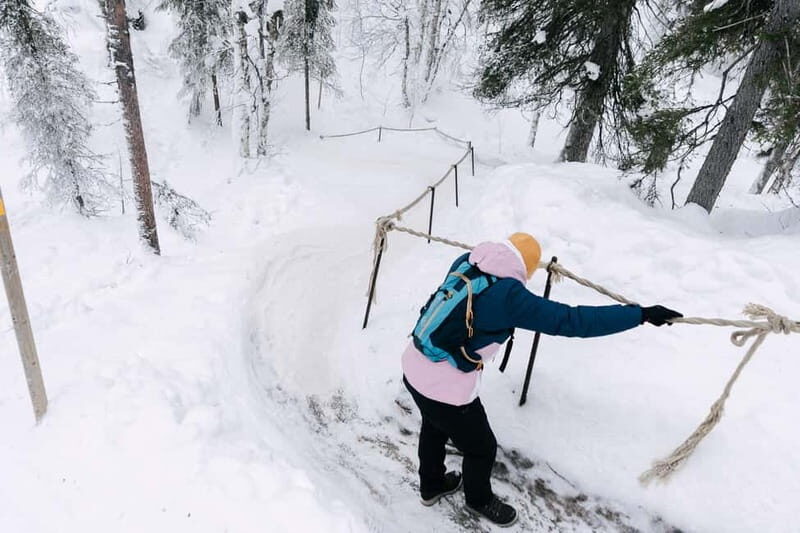 From Rovaniemi: Korouoma Frozen Waterfalls Guided Hike - Who Should Consider This Tour?