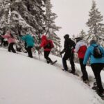 From Rovaniemi: Korouoma Frozen Waterfalls Small-Group Hike - The Experience Provider and Tour Atmosphere