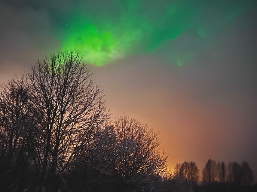 From Rovaniemi: Lapland Aurora Hunt with Barbeque - The Real-World Feedback: What Travelers Say