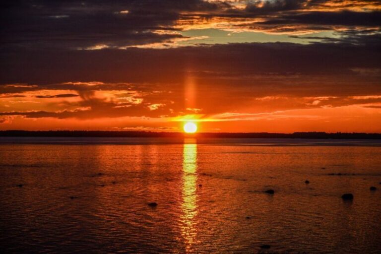 From Rovaniemi: Midnight Sun Forest Lake Float - Practical Details and Logistics