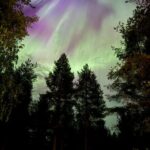 From Rovaniemi: Northern Lights Tour with Campfire Snacks - What to Expect on This Northern Lights Tour