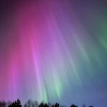 From Rovaniemi: Northern Lights Tour with Campfire Snacks - What’s Included and What’s Not