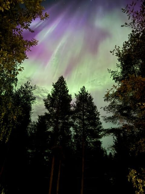 From Rovaniemi: Northern Lights Tour with Campfire Snacks - What to Expect on This Northern Lights Tour