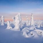 From Rovaniemi: Riisitunturi Full-Day Wilderness Adventure - What Real Travelers Are Saying