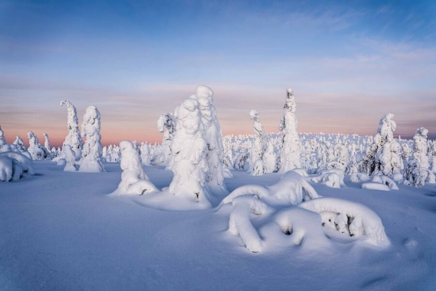 From Rovaniemi: Riisitunturi Full-Day Wilderness Adventure - What Real Travelers Are Saying