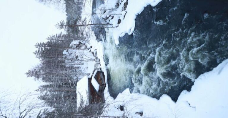 From Ruka: Snowshoeing in Oulanka National Park - What to Expect During the Experience